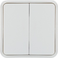 Berker 30553542 Клавиша 2-местная, цвет: Белый, оттенок: Полярная белизна, матовый