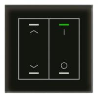 MDT BE-GTL2TS.C1 Выключатель сенсорный стекло II Lite