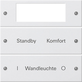Gira 221203 Набор клавиш 2-местный Plus,  гравировка, цвет: Белый, оттенок: Глянцевый, лакированный