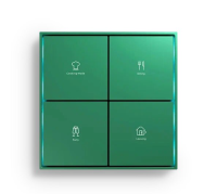 Citron SWRENMGS Умный выключатель KNX RE-new Malachite green-S SC-TK2-4.8