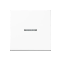 Jung A 590 KO5 WW Kлавиша с окошком, duroplastic, Серия A, white