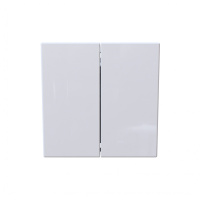 Jasmart Electric FD3022W Выключатель двухклавишный проходной 10A 250V~ с накладкой, цвет белый глянцевый, FD3022W