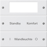 Gira 221227 Набор клавиш 2-местный Plus, с возможностью нанесения надписей, цвет: Белый, оттенок: Матовый, лакированный
