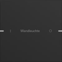 Gira 5031905 Набор клавиш одинарн., индивидуально для сенсорного выключателя 4