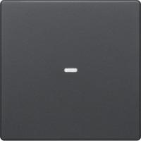 Berker 80960226 Кнопка, 1-канальная, Q.x, Easy, цвет: Антрацит, оттенок: Бархатный лак