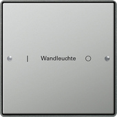 Gira 2131212 Комплект клавиш, 1 шт. ГРАВИРОВКА, цвет: Сталь