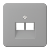 Jung CD569-2UAGR Крышка для сдвоенной телефонной и компьютерной розетки UAE; серая