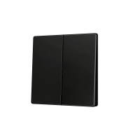 Zennio ZS55CSOFT22A ZS55, Крышка для двойной мягкой кнопки KNX 55x55 мм, Наклон вниз, Антрацит