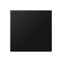 Jung A 590 SWM Kлавиша, duroplastic lacquered, Серия A, матовый чёрный графит