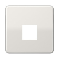 Jung CD569-1UALG Крышка для одинарных телефонных и компьютерных розеток (UAE), фиксация винтом; термопласт; светло-серый; CD500