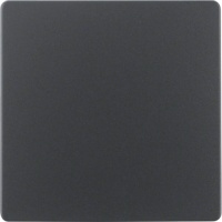 Berker 75940485 Центральная плата для вставки сенсора антрацитовый, матовый, цвет: Антрацит, оттенок: Матовый