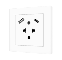 Zennio ZS55IEUA2US ZS55 — евро-американская розетка с USB C+A