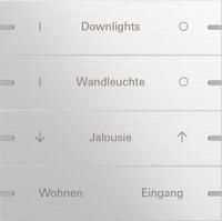 Gira 503417 Набор клавиш четверн., индивидуально для сенсорного выключателя 4
