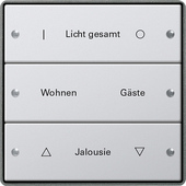 Gira 2133213 Комплект клавиш, 3 шт. ГРАВИРОВКА, цвет: Серый, оттенок: Алюминиевый