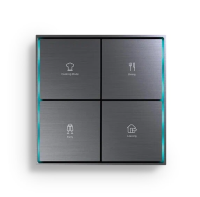 Citron SWRENSGS Умный выключатель KNX RE-new Space grey-S SC-TK2-4.8