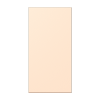 Jung LC 50 NA238 Накладка в цвет клавиш, Цвет: Сиена, оттенок: Бледный