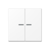 Jung A 10921 ST RF BF WWM KNX RF кнопка, 2 группы, Цвет: Белый, оттенок: Белоснежный матовый