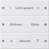 Gira 220303 Набор клавиш 3-местный,  гравировка, цвет: Белый, оттенок: Глянцевый, лакированный