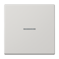Jung LS 10911 ST RF LG KNX RF кнопка, 1 группа, Цвет: Серый, оттенок: Светлый