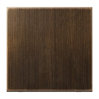 Jung ME 2990 AT Kлавиша, Латунь, Серия LS, латунь Antik