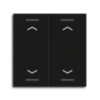 MDT BE-TAL55W206.A1 Настенный выключатель MDT для кнопочного светильника KNX, 55, черный