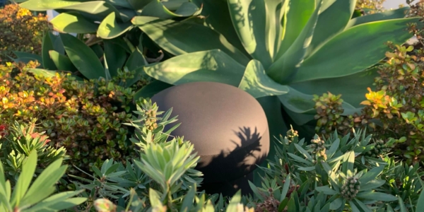 Sonance 259259 Ландшафтная акустика Sonance OMNI 6T