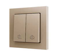 Zennio ZS552PB2SHC ZS55. Простая сенсорная кнопка для 1 двоичного входа, 55 x 55 мм, шампань