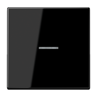 Jung LS 10911 ST RF SW KNX RF кнопка, 1 группа, Цвет: Черный, оттенок: