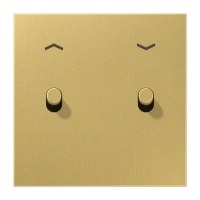 Jung ME 12-5 P C R 25 Центральная плата с тумблером «цилиндр», сдвоенный тумблер, с символам «стрелки», Серия LS 1912, латунь Classic