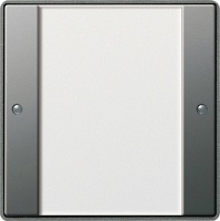 Gira 213120 Комплект клавиш, 1 шт., цвет: Нержавеющая сталь