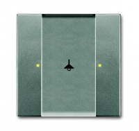 ABB 6125/02-803-500 Сенсор 1/2-клавишный, метеор, цвет: Серый, оттенок: Металлик