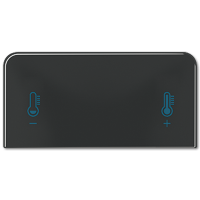 Jung CD 409 T Накладка с символом температуры