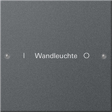 Gira 220128 Набор клавиш 1-местный,  ГРАВИРОВКА, цвет: Антрацит