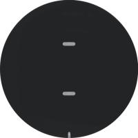 Berker 80161865 Клавишный сенсор «Комфорт», R.x, цвет: Черный