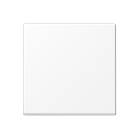 Jung A 101 BF WWM Kлавиша