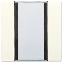 Jung LS2091NABS KNX универсальный кнопочный сенсор, 1 группа, цвет: Белый, оттенок: Слоновая кость