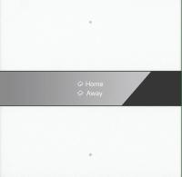 GVS CHPBD-02/12.2.10 Клавишный выключатель с дисплеем, 2 клавиши, белый