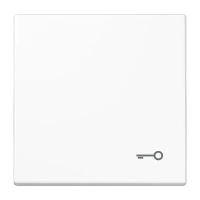 Jung LS 990 T WW Kлавиша, символ «ключ», duroplastic, Серия LS, белый