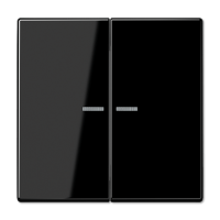 Jung LS995KO5SW LS990 Клавиша 2-ная с 2-мя линзами, чёрн.