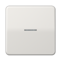 Jung CD 101 KO5 LG Клавиша с окошком