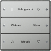 Gira 2133212 Комплект клавиш, 3 шт. ГРАВИРОВКА, цвет: Сталь