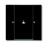 ABB 6125/02-81-500 Сенсор 1/2-клавишный, антрацит, цвет: Антрацит