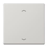 Jung LS 101 P LG Клавиша с символами «стрелки»