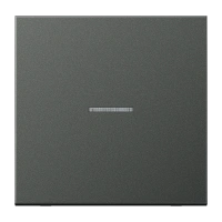 Jung AL 2990 KO5 AN Kлавиша с окошком, aluminium laquered, Серия LS, антрацит