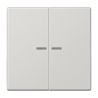 Jung LS 102 KO5 LG Клавиша с окошком