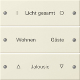 Gira 220301 Набор клавиш 3-местный,  гравировка, цвет: Белый, оттенок: Глянцевый, кремовый