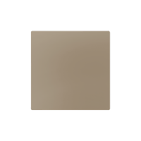 Zennio 830002804 ZS55, Защитная накладка 55x55 мм, Шампанское