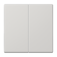 Jung LS 102 LG Kлавиша