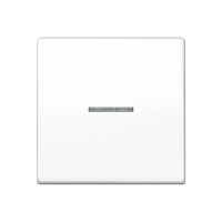 Jung AS 101 KO5 WW Клавиша с окошком, Цвет: Белый, оттенок: Без оттенка