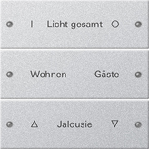 Gira 220326 Набор клавиш 3-местный,  гравировка, цвет: Серый, оттенок: Алюминиевый, лакированный